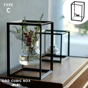 �yTYPE C�zODD CUBIC BOX -MINI-/ �I�b�h �L���[�u �{�b�N�X �~�j WEST VILLAGE TOKYO �E�G�X�g�r���b�W�g�[�L���[ W20×D12×H20cm �v�����^�[ �A�� �A�C�A�� �S �v�����c �A���X�^���h ���ɕ��� �L�����h���X