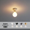 Adam Ciling Light アダム シーリングライト ART WORK STUDIO アートワークスタジオ ダウンライト スポット ライト 照明 エントランス トイレ ホテル 引っ掛けシーリング デザイン 天井直付灯 AW-0634