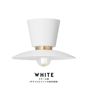 Probe Ceiling Light (S) v[u V[O Cg ART WORK STUDIO A[g[NX^WI X|bg Cg Ɩ GgX gC ze |V[O fUC V䒼t AW-0656