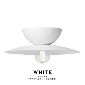 Probe Ceiling Light (L) プルーブ シーリング ライト LサイズART WORK STUDIO アートワークスタジオ スポット ライト 照明 エントランス トイレ ホテル 引っ掛けシーリング デザイン 天井直付灯 AW-0657