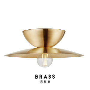 Probe Ceiling Light (L) v[u V[O Cg LTCYART WORK STUDIO A[g[NX^WI X|bg Cg Ɩ GgX gC ze |V[O fUC V䒼t AW-0657
