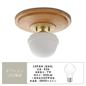 RAGDOL Ceiling Light / Oh V[O Cg _ `[t Ɩ CeA dC t X e  q Hsv tic gram eight OGCg