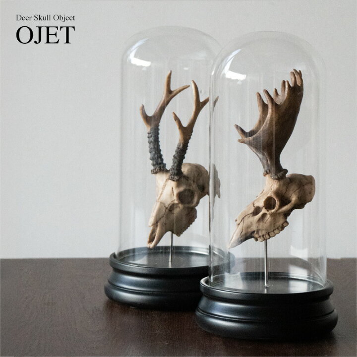 楽天市場】Deer Skull Object -OJET- ディア スカル オブジェクト 