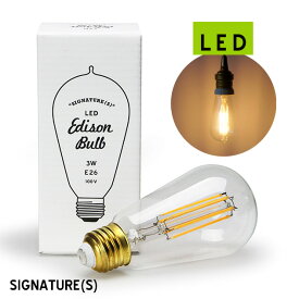【LED】 Edison Bulb “Signature(S)”/ LED エジソンバルブ"シグネイチャー(S)" LED電球 E26 30W相当 消費電力3W 2200K 300lm(ルーメン) 直径6cm×H12cm 調光器対応 detail