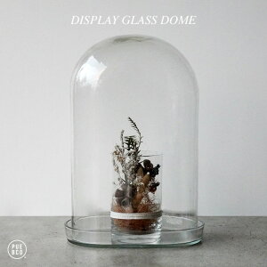 DISPLAY GLASS DOME / fBXvC KX h[PUEBCO / vGuR H36cm × W25cm × D15cm fBXvC h[ V[P[X KXP[X