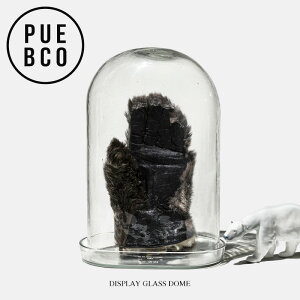 DISPLAY GLASS DOME / �f�B�X�v���C �K���X �h�[��PUEBCO / �v�G�u�R H36cm × W25cm × D15cm �f�B�X�v���C �h�[�� �V���[�P�[�X �K���X�P�[�X
