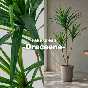 Fake Green -Dracaena- �t�F�C�N�O���[�� �R���V���l ����120cm form �l�H�ϗt�A�� ��^ �C���e���A�O���[�� ���t�� �v�����^�[�J�o�[�ʔ� F9-244