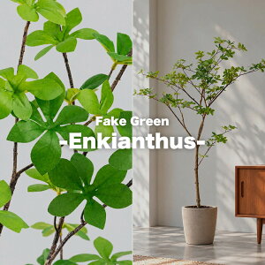 Fake Green -Pachira- �t�F�C�N�O���[�� �h�E�_���c�c�W ����130cm form �l�H�ϗt�A�� ��^ �C���e���A�O���[�� ���t�� �v�����^�[�J�o�[�ʔ� F9-246