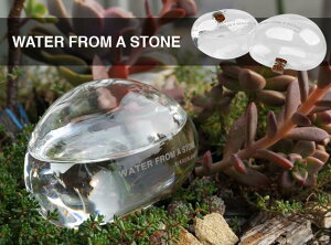 WATERFROMASTONE/ウォーターフロムアストーンKikkerlandキッカーランドウォーターキーパー水差し植物水やり観葉植物【あす楽対応_東海】