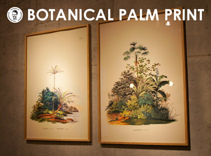 楽天市場 フレーム付き Botanical Palm Print Flame ボタニカルパームプリント フレームthe Dybdahl 額縁 額 ポスター フレーム アート Detail Interior Shop Nia ニア 楽天市場 フレーム付き Botanical Palm Print Flame ボタニカルパームプリント フレームthe Dybdahl 額縁 額 ポスター フレーム アート Detail Interior Shop Nia ニア