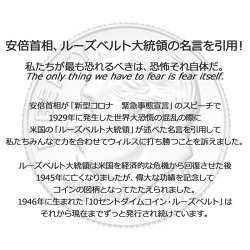 トップ100 ルーズベルト 名言 偶然