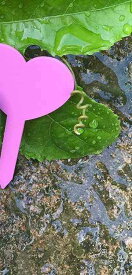園芸用ラベル 50個セット ガーデニングラベル 植物タグ マーカー ハート型 植物ラベル 盆栽タグ フラワーシード名タグ 植物識別 書きやすい 園芸用品