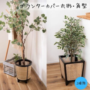 __tP2{! 1%ItN[|L^v^[Jo[ CeAO[ tFCNO[ ͔| ƒ؉ ^ VR |  킢 K[fjO X^CbV