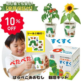 【10％OFF】栽培キット 野菜 室内 だいこん レタス トマト ヒマワリ 子供 家庭菜園 自由研究 観察 初心者向け 栽培セット おうち時間 食育 学習キット おしゃれ はらぺこあおむしペタペタ＆すくすく【スーパーSALE】