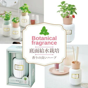 Botanical fragrance {^jJ tOX ~g o[ ChXgx[ q ƒ؉ R ώ@ SҌ ͔|Zbg  H wKLbg 