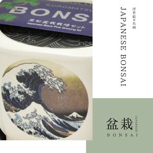 yv[gz͔|Lbg JAPANESE BONSAI ~  gxm ԕxm L xmƔL  q ƒ؉ R ώ@ SҌ ͔|Zbg  H wKLbg 10/4-9!Pő50{!