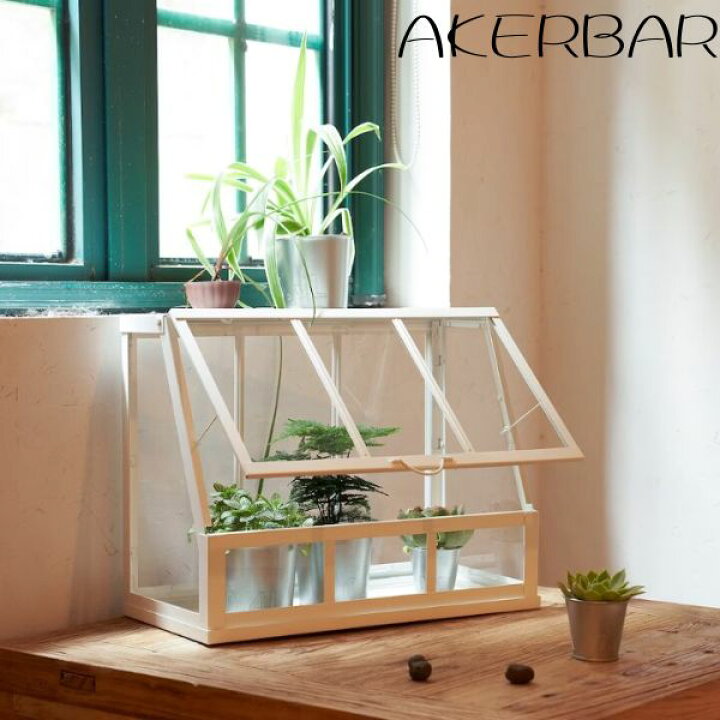 楽天市場】IKEA イケア AKERBAR オーケルベール ミニキャビネット 栽培  