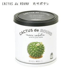 _11/25-27 P10{^͔|Lbg ƒ؉ ؉ CeAO[ Mtg  킢 ۃT{e T{e E`T{e ̌^Mtg v[g |Cg