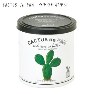 ͔|Lbg ƒ؉ ؉ CeAO[ Mtg  킢 ۃT{e T{e E`T{e ̌^Mtg v[g |Cg