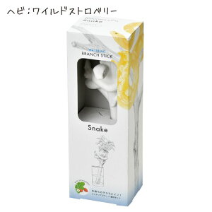 ͔|Lbg ƒ؉ ؉ n[u CeAO[ Mtg  킢 BRANCH STICK reptiles u`XeBbNv^CY ̌^Mtg v[g |bL |Cg