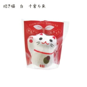 ʌ ߂ł݂ N L Mtg v[g q  g g g  ^ ^lt |bL |Cg