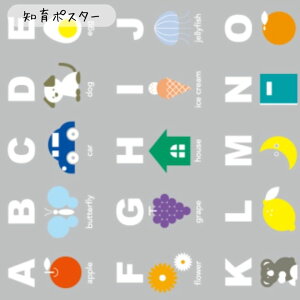 CNV[g ͂ DIY   ؖ  i` N[[bg V ؖڒ _[NuE h Lb` ^C MT CASA FLEECEV[Y FOR WALL