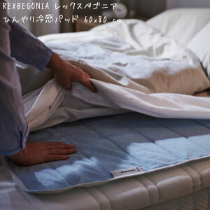 i ikea REXBEGONIA bNXxSjA Ђ⊴pbh, 60x80 cm 305.221.78 CPA ⊴  ʋC  QԂ Xg[glbN т Q  v[g