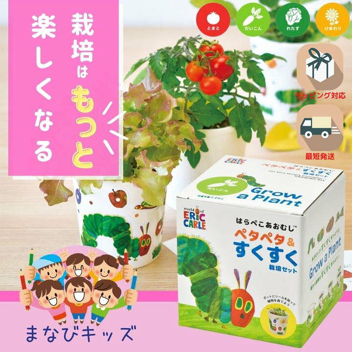 楽天市場】新生活 入園 入学 文房具セット付 栽培キット 野菜 室内 