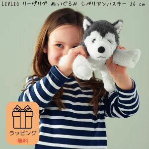 _10/30! 10~ItN[|^ytz MtgbsO ʂ IKEA CPA LIVLIG [O Ck VxAnXL[ 26 cm 704.142.71 ӂӂ t@[XggC Ԃ ǂ