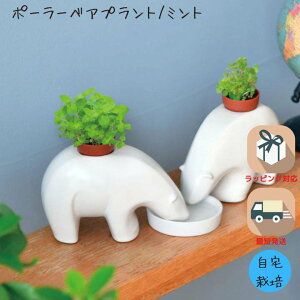 _11/25-27 P10{^͔|Lbg ƒ؉ ؉ CeAO[ | Mtg  킢 K[fjO X^CbV |[[xAvg ~g |bL |Cg