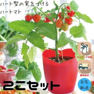 2Zbg n[g}g ͔|Lbg g}g   n[u q ƒ؉ R ώ@ SҌ ͔|Zbg  H wKLbg  K[fjO Mtg a