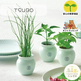 栽培キット 室内 薬味 盆栽 栽培セット おしゃれ 薬味栽培セット TSUBO 壺 しそ 唐辛子 ねぎ 和モダン 青磁風 陶器 鉢 小さい ミニ 家庭菜園 観葉植物 キッチン ガーデニング ギフト プレゼント 景品