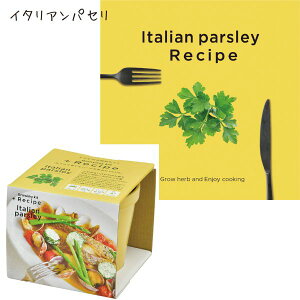 _X[p[Z[ P2{+ő200~It^͔|Lbg ƒ؉ ؉ Vst CeAO[ Mtg  킢 +Recipe ̌^Mtg v[g |bL |Cg