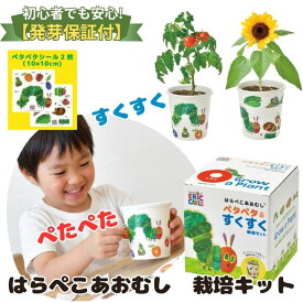 栽培キット 野菜 室内 だいこん レタス トマト ヒマワリ 子供 家庭菜園 自由研究 観察 初心者向け 栽培セット おうち時間 食育 学習キット おしゃれ はらぺこあおむしペタペタ＆すくすく