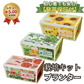 ミニトマト 栽培キット 家庭菜園 おうち菜園 インテリアグリーン おしゃれ かわいい ENJOY PLANTER 体験型ギフト プレゼント ポイント消化