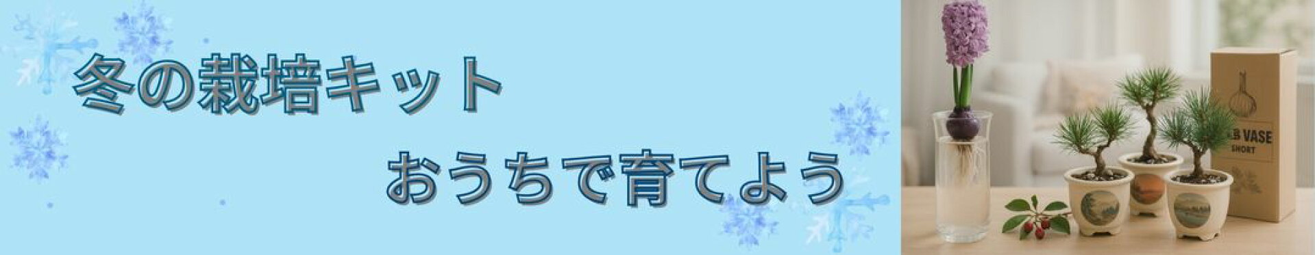 冬の栽培キット　おうちで育てよう