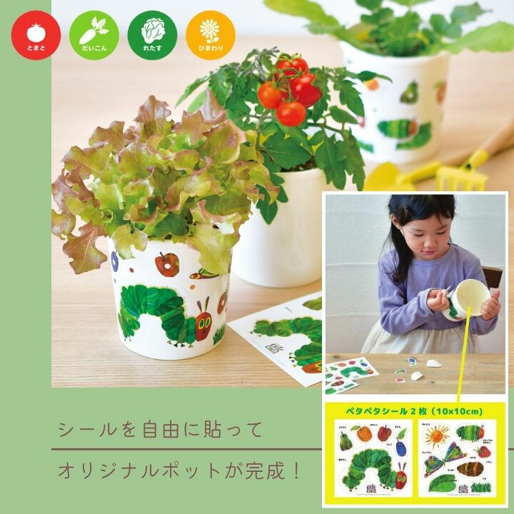 楽天市場】新生活 入園 入学 文房具セット付 栽培キット 野菜 室内 