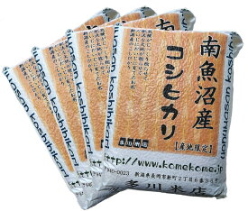 《真空パックで非常時の 備蓄米 にも》令和6年 南魚沼産 コシヒカリ 20kg（5kg×4 真空パック)【 令和6年産6年度産 新潟産 新潟県産 新潟米 こしひかり 米 お米 美味しいお米 おいしいお米 保存米 20kg 20キロ 真空パック 美味しい おいしい 米 お米 地域限定 送料無料 】