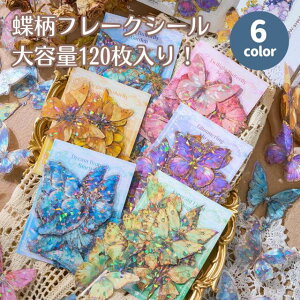 y6FZbg120IV[No.5z t[NV[ o^tC R[Wf e  PET ϐ V[ V[ V[ fR[V XNbvubN nh