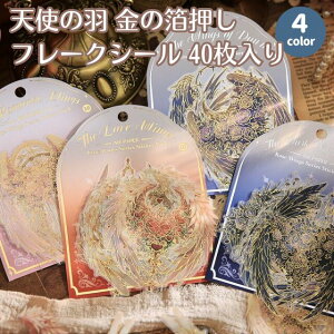 y40IV[No.6zVg̉H t[NV[ o^tC R[Wf e  PVC ϐ GWF ECO   fR[V XNbvubN n