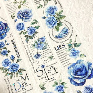 }XLOe[v QY}Xe2025E1V쁙Retro Blue 6cm×5M Lk }XLOe[v R[Wf nhChf