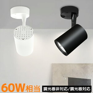 X|bgCg Ǖt V[OCg 60W VƖ ǖʏƖ  CeA V䒼tp dF F ̌^ k _ Vv ΉI