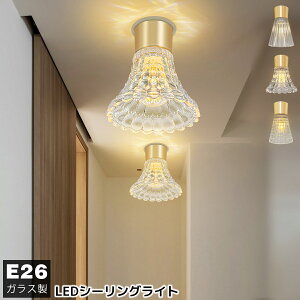 V[OCg ^ KX 1 VƖ E26 RpNg VƖ  L gC ʏ  k 킢 ȒPt XgCv͗l t[͗l `FbN͗l 3^CvI