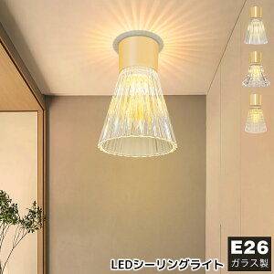 yzV[OCg ^ KX 1 VƖ E26 RpNg VƖ  L gC ʏ  k 킢 ȒPt XgCv͗l t[͗l `FbN͗l 3