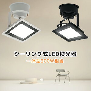 V[OCg X|bgCg ̌^ 200W LED |V[Op  LEDX|bgCg ANZgƖ ̌^X|bgCg 2F Px F dF d