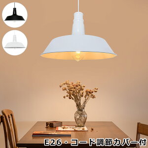 yzy_gCg k  Hƕ C_XgA _ JtF ݂艺Ɩ CeAƖ _Ng[p |V[Op R[hJo[t X H _