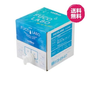 【 健康支援・送料無料】ナノバブル水素水フコイダ 10L フコラボ FUCO LABO 標準版 フコイダン水素水 フコイダン水 フコイダン飲料水 水素水 ナノバブル水 高濃度