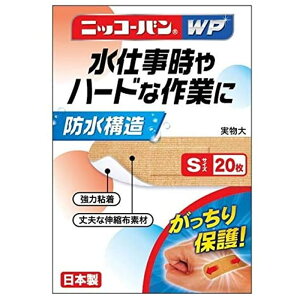 jbR[oWP STCY No.501 20 Ai