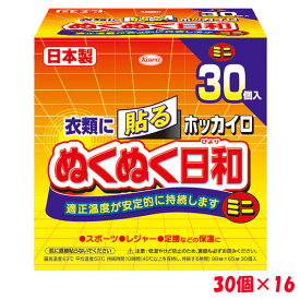 ＜送料無料＞ホッカイロ ぬくぬく日和 貼る ミニ 30個入×16 興和