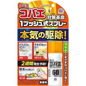 A[XRoG 1vbVXv[ 60 A[X